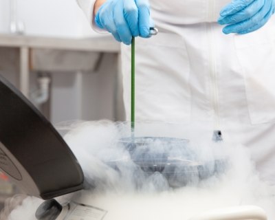 Lab tech removes sample from cryogenic tank