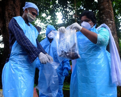 Officials deposit a bat into a plastic bag after catching it, in Kozhikode, India, on September 7, 2021.