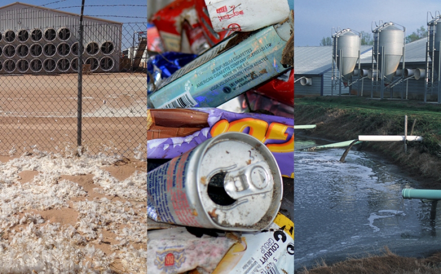 The U.S. food system supplies an abundance of food—an estimated 2,590 calories per citizen per day in 2010, after subtracting wasted food.7 It also generates health and environmental hazards, such as packaging waste (middle) and pollution from industrial egg (left) and swine (right) operations.