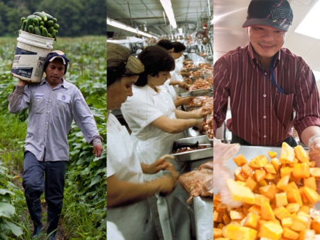 farmworker, slaughterhouse & retail worker