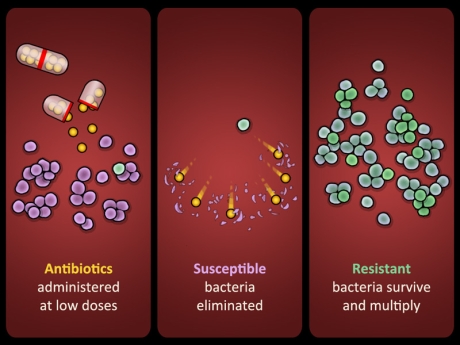 ABX