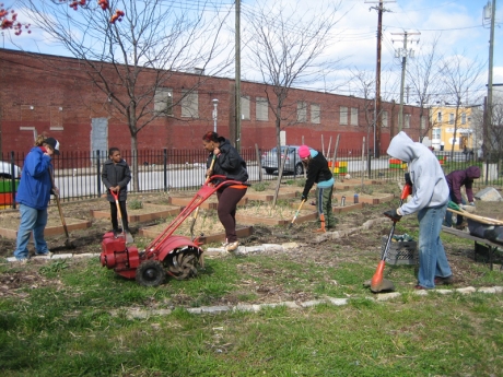 Community Garden