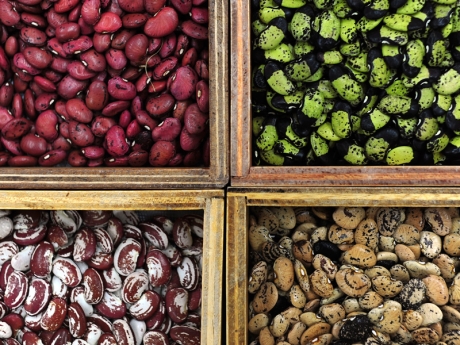 Biodiverse Bean