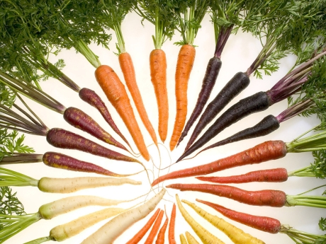 Carrots of many colors