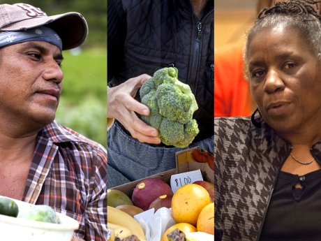 Food Policy Council