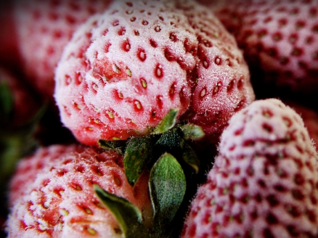 Frozen Berries