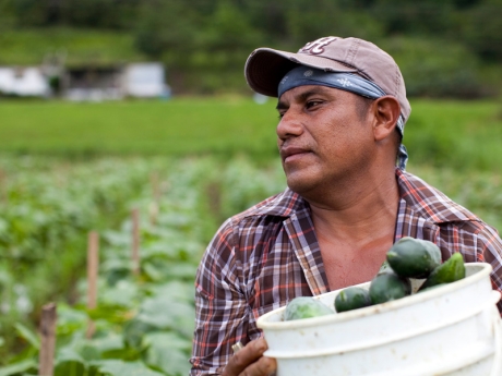Migrant worker