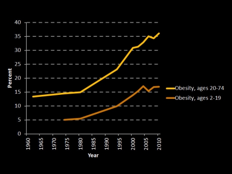 Prevalence of obesity in the U.S., 1962-2010
