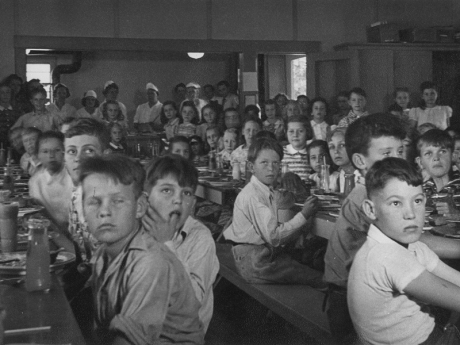 Students eating lunch
